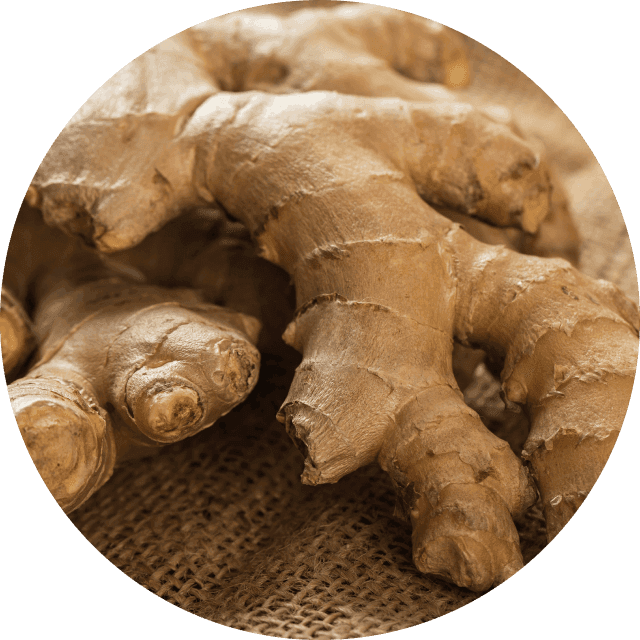 Ginger